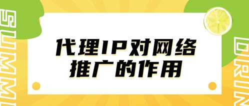 代理IP在網絡推廣中的關鍵作用